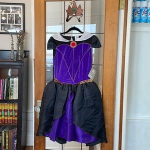 Disney Snow White Evil Queen Costume